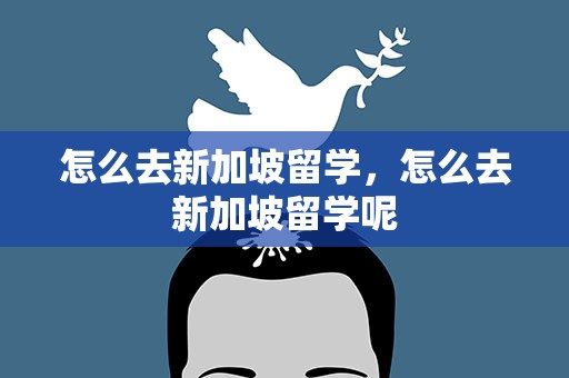 怎么去新加坡留学，怎么去新加坡留学呢