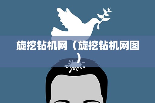 旋挖钻机网（旋挖钻机网图）
