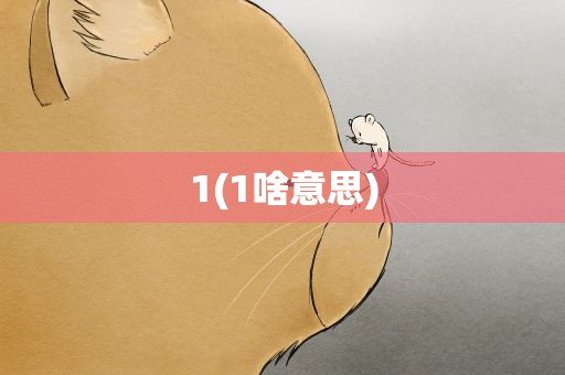 1(1啥意思)