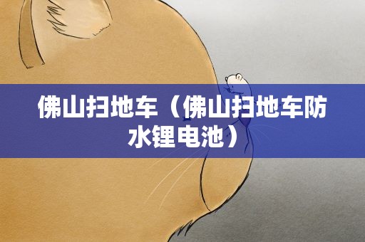 佛山扫地车（佛山扫地车防水锂电池）