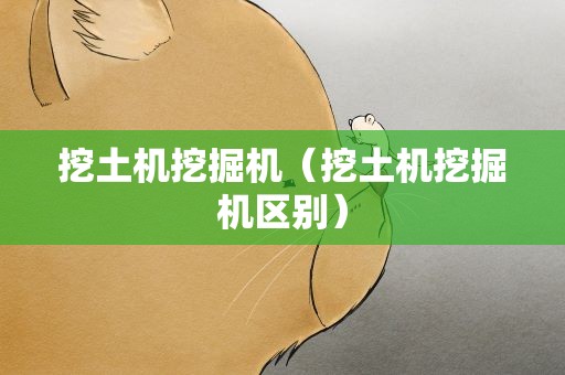 挖土机挖掘机（挖土机挖掘机区别）