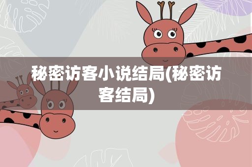 秘密访客小说结局(秘密访客结局)