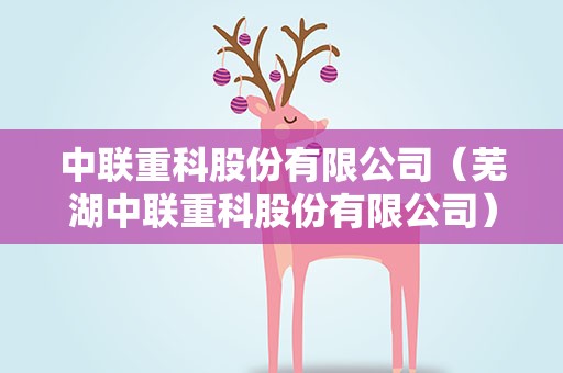中联重科股份有限公司（芜湖中联重科股份有限公司）