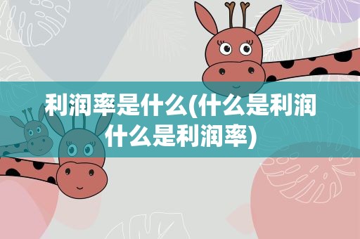 利润率是什么(什么是利润什么是利润率)
