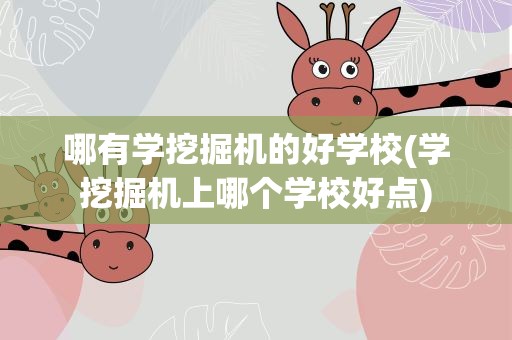 哪有学挖掘机的好学校(学挖掘机上哪个学校好点)