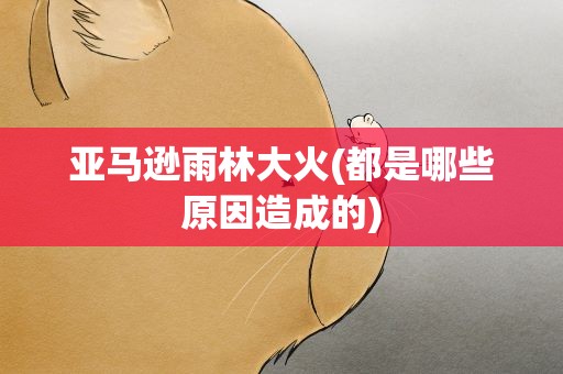 亚马逊雨林大火(都是哪些原因造成的)