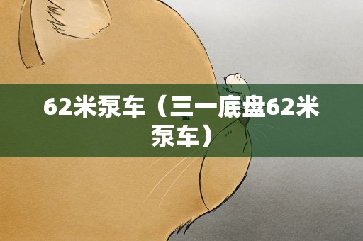 62米泵车（三一底盘62米泵车）