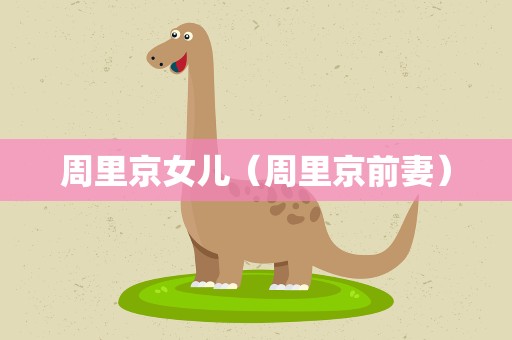 周里京女儿（周里京前妻）