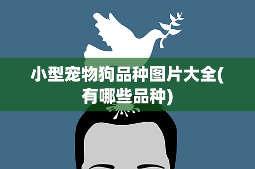 小型宠物狗品种图片大全(有哪些品种)