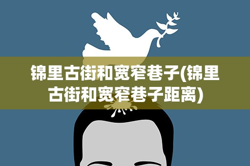 锦里古街和宽窄巷子(锦里古街和宽窄巷子距离)