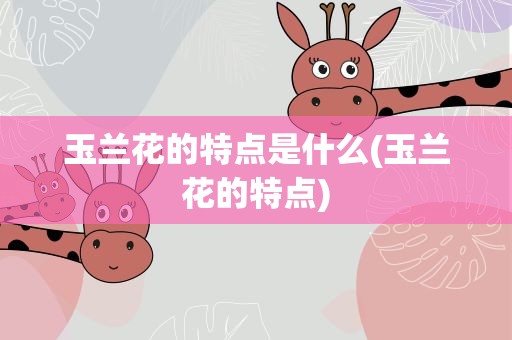 玉兰花的特点是什么(玉兰花的特点)