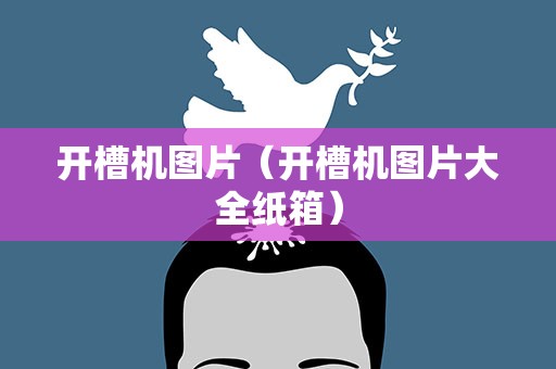 开槽机图片（开槽机图片大全纸箱）