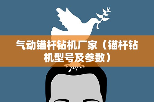 气动锚杆钻机厂家（锚杆钻机型号及参数）