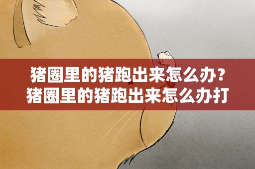 猪圈里的猪跑出来怎么办？猪圈里的猪跑出来怎么办打一明星
