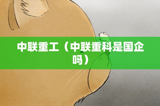中联重工（中联重科是国企吗）