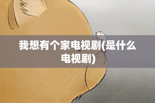 我想有个家电视剧(是什么电视剧)