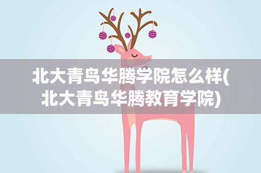 北大青鸟华腾学院怎么样(北大青鸟华腾教育学院)