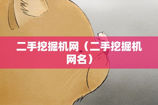 二手挖掘机网（二手挖掘机网名）