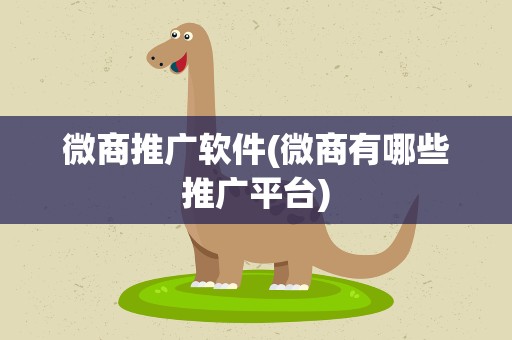 微商推广软件(微商有哪些推广平台)