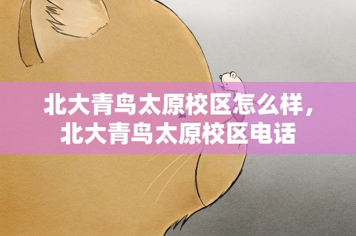 北大青鸟太原校区怎么样，北大青鸟太原校区电话