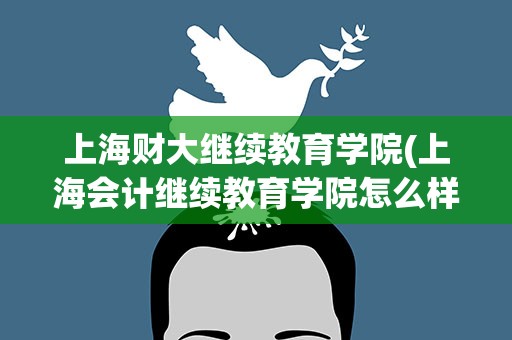 上海财大继续教育学院(上海会计继续教育学院怎么样)