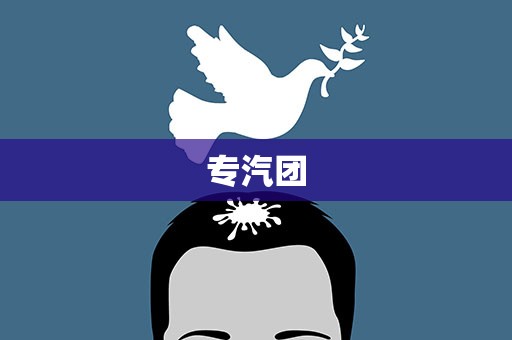 专汽团