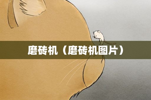 磨砖机（磨砖机图片）