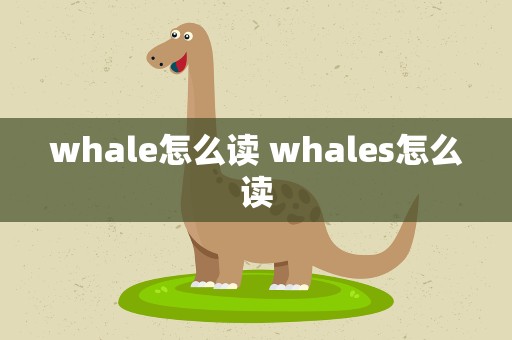 whale怎么读 whales怎么读