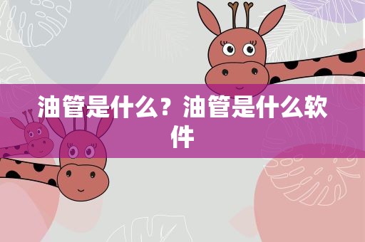 油管是什么？油管是什么软件
