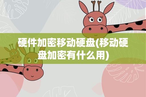 硬件加密移动硬盘(移动硬盘加密有什么用)