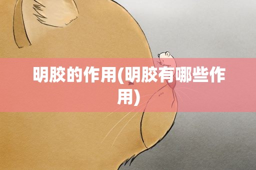 明胶的作用(明胶有哪些作用)