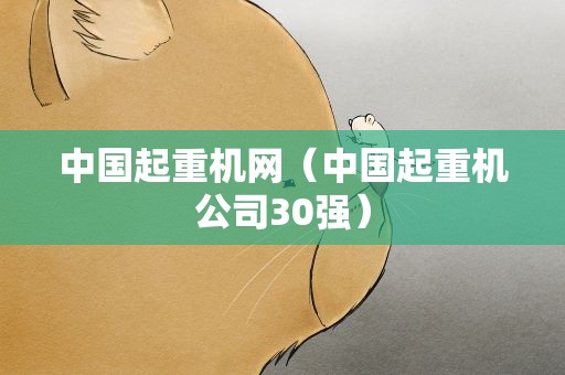 中国起重机网（中国起重机公司30强）