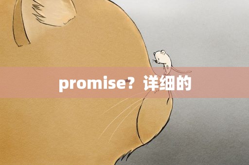 promise？详细的