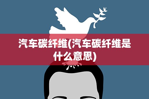 汽车碳纤维(汽车碳纤维是什么意思)