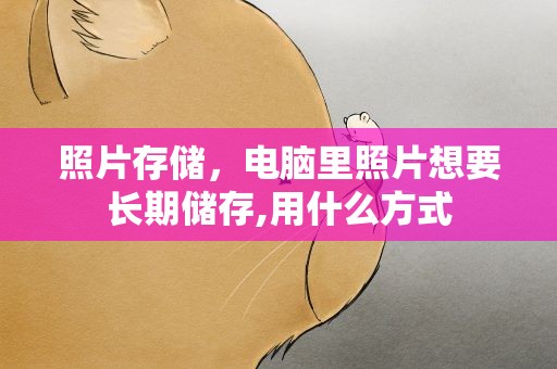 照片存储，电脑里照片想要长期储存,用什么方式