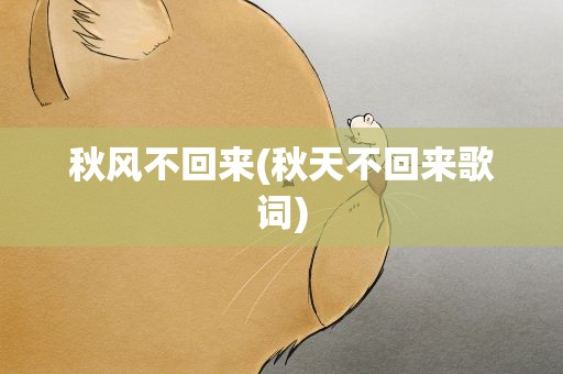 秋风不回来(秋天不回来歌词)