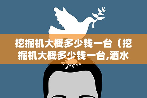 挖掘机大概多少钱一台（挖掘机大概多少钱一台,洒水车）