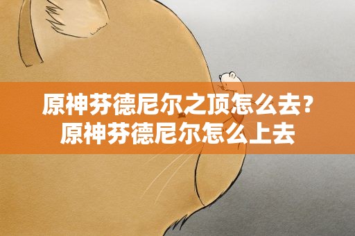 原神芬德尼尔之顶怎么去？原神芬德尼尔怎么上去