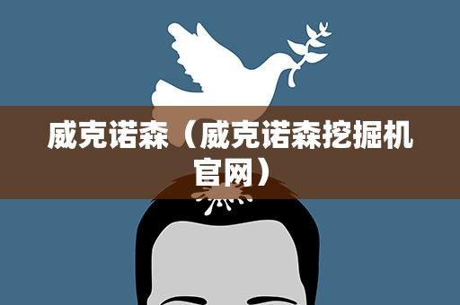 威克诺森（威克诺森挖掘机官网）