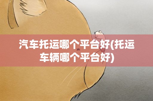 汽车托运哪个平台好(托运车辆哪个平台好)