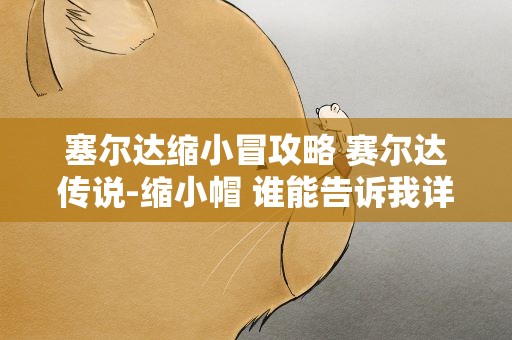 塞尔达缩小冒攻略 赛尔达传说-缩小帽 谁能告诉我详细攻略 细节也要