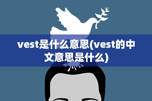 vest是什么意思(vest的中文意思是什么)