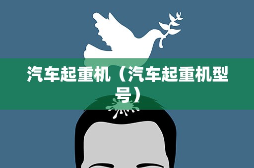 汽车起重机（汽车起重机型号）