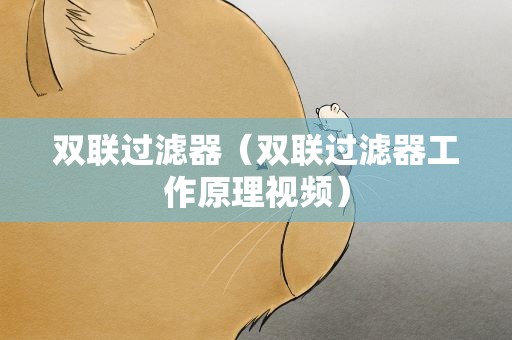 双联过滤器（双联过滤器工作原理视频）
