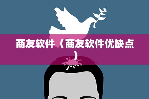 商友软件（商友软件优缺点）
