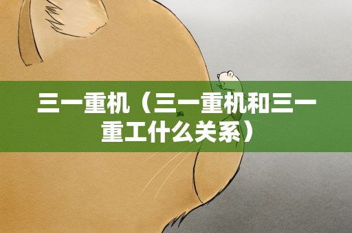 三一重机（三一重机和三一重工什么关系）