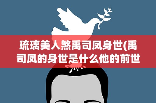 琉璃美人煞禹司凤身世(禹司凤的身世是什么他的前世是什么)