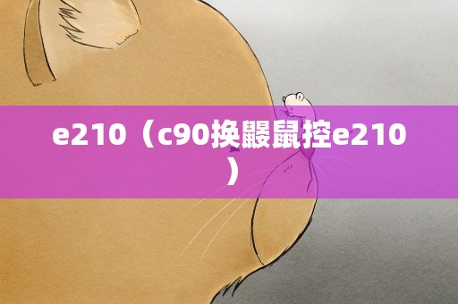e210（c90换鼹鼠控e210）