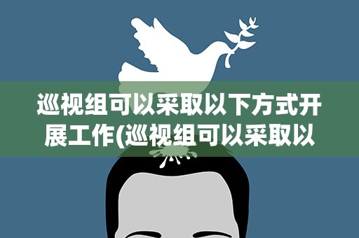 巡视组可以采取以下方式开展工作(巡视组可以采取以下方式开展工作的是)