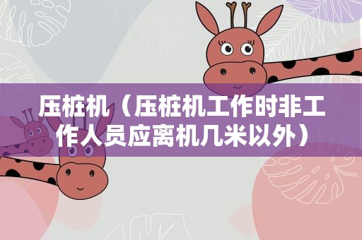 压桩机（压桩机工作时非工作人员应离机几米以外）